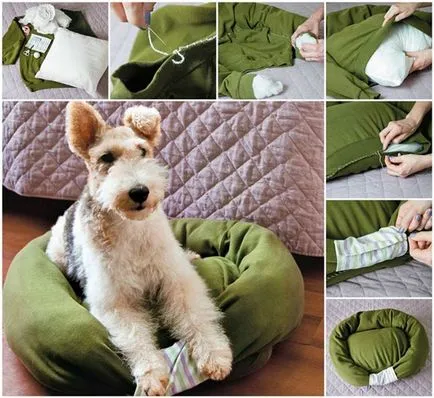 Paturi pentru câinele cu propriile sale mâini, model, cum să coase, fotografii