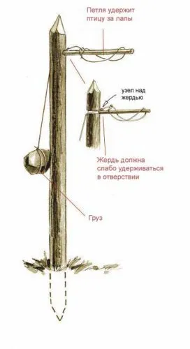 Prinderea animalelor capcane - vânătoare - articole despre supraviețuire - Kiev Portal supravietuitor