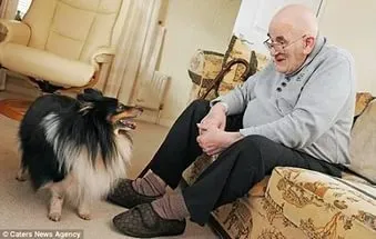 Oameni ca câini sau pisici, ca oamenii să adopte dacă caracteristicile de animale și