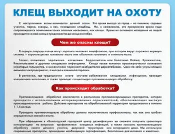 Cel mai bun remediu pentru căpușe pentru câini, care în mod eficient