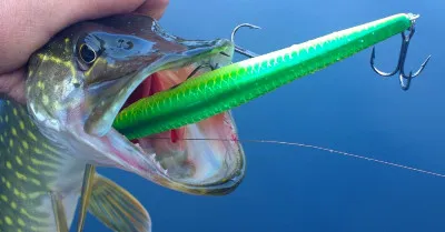 Pescuit nada pe tehnica pentru incepatori, cum de a valorifica crankbaits, Jig și poppers (cabluri wobbler corect) nada de pescuit pe tehnica pentru incepatori, cablare metode crankbaits, Jig și poppers