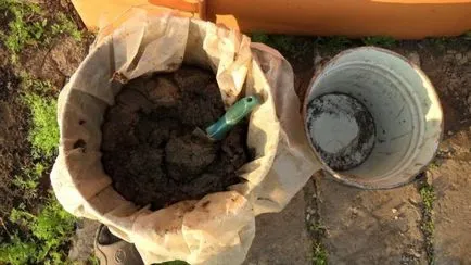 Sfaturi de top pentru hrănire castraveți din policarbonat cu efect de seră (sfaturi) Sfaturi pentru hrănirea castraveți din policarbonat cu efect de seră