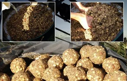 Prinderea de primăvară crap martie, aprilie, mai (crap prefera sa stea) pescuit crap în primăvara lui martie, aprilie, mai