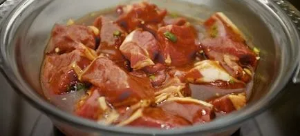 Sosul pentru carnea de vită - rețete pentru moliciunea cărnii pentru grătar, se coace în cuptor și prăjire friptura (marinata) Sosul pentru carnea de vită - rețete pentru moliciunea cărnii pentru grătar, se coace în cuptor și prăjirea fripturile