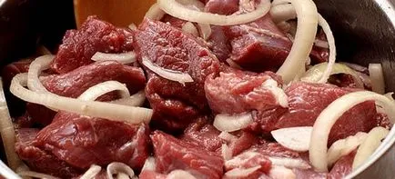 Sosul pentru carnea de vită - rețete pentru moliciunea cărnii pentru grătar, se coace în cuptor și prăjit friptura (shish kebab) Sosul pentru carnea de vită - rețete pentru moliciunea cărnii pentru grătar, se coace în cuptor și prăjirea fripturile