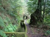 Madeira - toate informațiile despre atracțiile insulei și puncte de interes (Funchal) Madeira - toate informațiile despre atracțiile insulei și puncte de interes