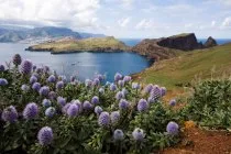 Madeira - toate informațiile despre atracțiile insulei și puncte de interes (Madeira) Madeira - toate informațiile despre atracțiile insulei și puncte de interes