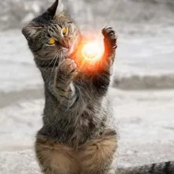 fapte pisica Magic și conjecturi (Magic Cat) pisici Magic Fapte și Ficțiune