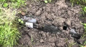 Cele mai bune instrumente și tehnici pentru a combate mole la cabana lor de vară (dacha) Cele mai bune instrumente și tehnici pentru a face față Alunița de lângă casa ei