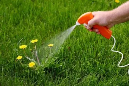 Sfaturi pentru combaterea buruienilor în grădină (cum să obțineți buruienile din grădina) Sfaturi pentru combaterea buruienilor în grădină
