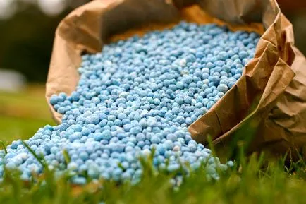 ceapa Welsh plantare aprilie și îngrijire, cultivare (randament da ori) ceapa Welsh plantare aprilie și îngrijire, cultivarea