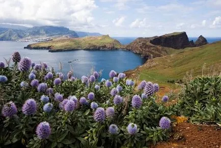 Madeira - toate informațiile despre atracțiile insulei și puncte de interes (Levadia) Madeira - toate informațiile despre atracțiile insulei și puncte de interes
