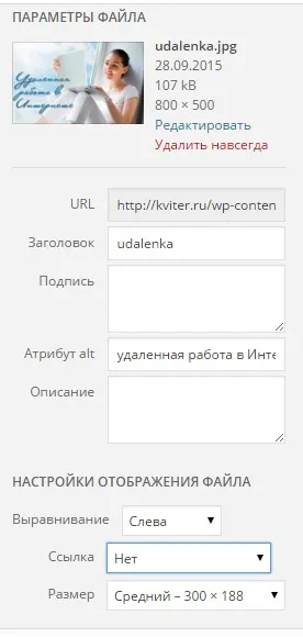 Media WordPress - caracteristici de personalizare