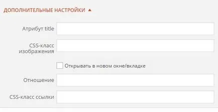 Media WordPress - caracteristici de personalizare