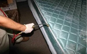 Este posibil de a ucide ploșnițele abur generatoare de abur ca eficiente