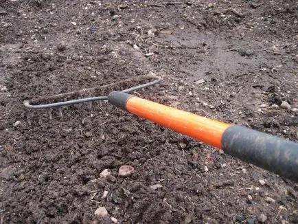 Este posibilă utilizarea gunoiului de grajd ca îngrășământ de porc
