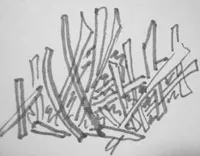 Carving de legume
