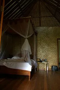 În Bali proprii