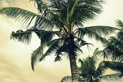 În Bali proprii
