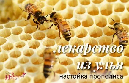 tinctura de propolis