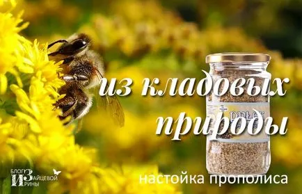 tinctura de propolis