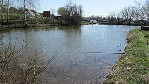Cerințe preliminare pentru crap în iazuri și bazine (condiții) Cerințe preliminare pentru crap în iazuri și bazine