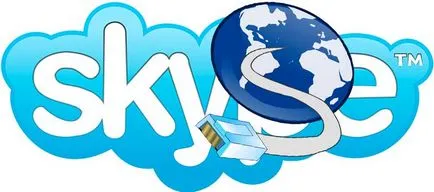 Nu s-a putut conecta Skype