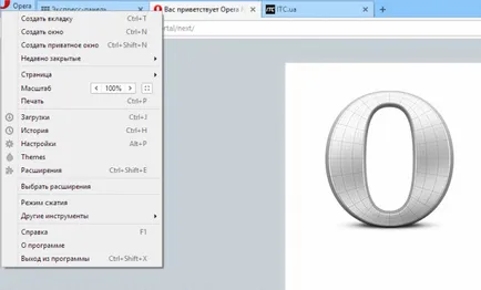 Prezentare generală a operei browser-ul următor