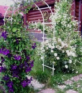 Suport pentru Clematis