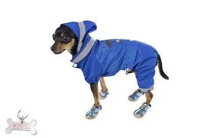 Imbracaminte pentru terrier de jucărie cu modele mâini și pas cu pas descrierea de cusut