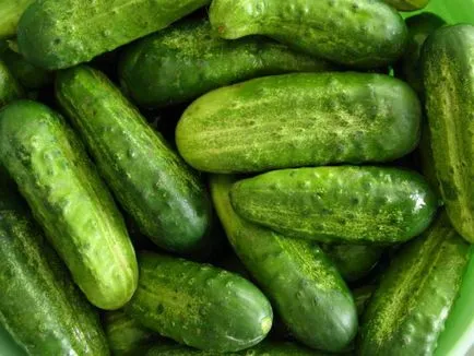 Marinda cultivare castravete și de îngrijire caracteristici (castraveți Marinda Marinda f1 castraveți Castraveți evaluări rating Marinda) Caracteristici Castraveți Marinda de cultivare și îngrijire