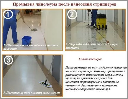 Curatare si protectie mijloace pentru tipurile de linoleum și metode de aplicare (mijloace) mijloace de curățare și protecție pentru tipuri de linoleum și metode de acoperire