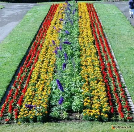 A face crestele cu propriile lor mâini - plante și flori pentru frontiere