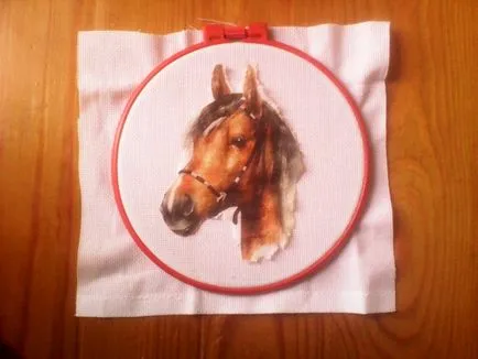Diriginta imitație broderie, decupaj pe panza