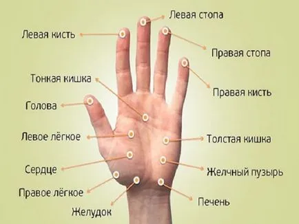 Maseaza palmele și degetele mâinii drepte, sfaturi, videoclipurile lui