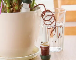 Organizația pentru plante de interior irigare automată cu propriile mâini tipuri de sisteme, caracteristicile lor (houseplant udare automată cu mâinile lor flori de udare automată) Organizația pentru plante de interior irigare automată cu propriile mâini tipuri de sisteme, caracteristicile lor,