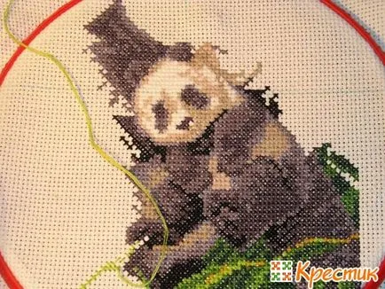 Bazele Cross Stitch pentru începători (începători) Cross Stitch Elementele de bază pentru începători
