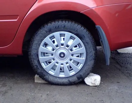 Rămâi în viață