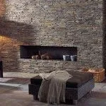Decorarea peretilor cu piatra decorativa în camera de zi apartament cu care se confruntă un material artificial (fotografii, (Finish) Decorarea pereților cu piatră decorativă în camera de zi apartament cu care se confruntă un material artificial (fotografii,