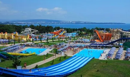 Vacanță cu un câine pe Marea Neagră în 2017 (Marea) Vacanță cu un câine pe Marea Neagră în 2017