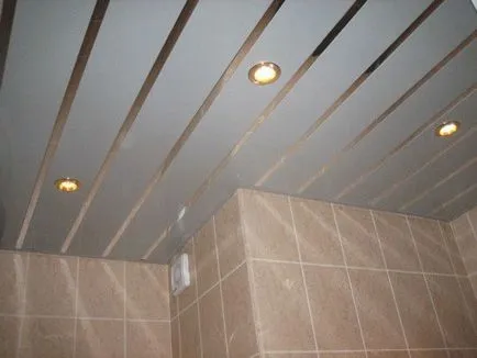 Decorarea opțiuni baie de design pentru o cameră de toaletă (fotografii)