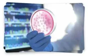 legături peptidice și compuși