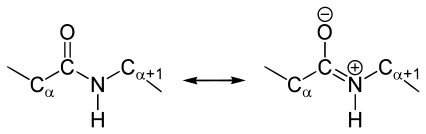 legătură peptidică