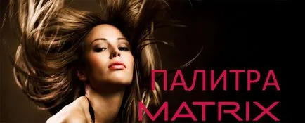 matrice vopsea paleta parul (paleta) matrice vopsea paleta parul