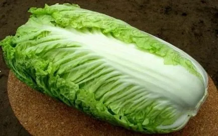 Chineză de plantare varză, cultivare, îngrijire, soiuri