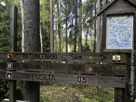 Parcul Repovesi în Finlanda faq și experiența personală