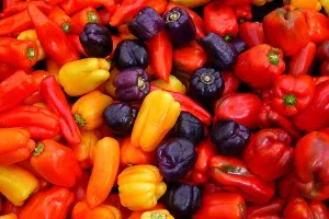 Pepper - creștere și îngrijire într-o seră, boala boia