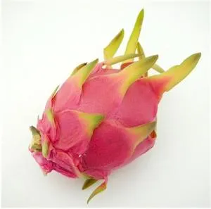 Pitahaya - fructe sănătoase și gustoase (pitahaia) Pitahaya - fructe sănătoase și gustoase