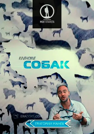 Planet Dog (2012-2015, toate edițiile) - ceas on-line toate transferurile într-o serie bună gratuit