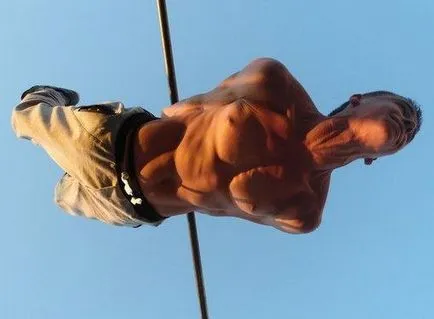 De ce inghite cuiburile sub coama casei
